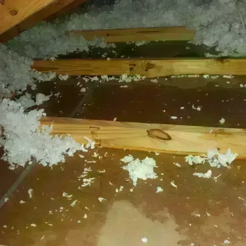 Attic Water Damage in Lebanon South, PA